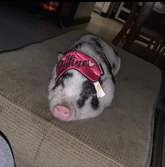 BACK UP AD Live listing updates share sat at 9am - Picture 15 of 16